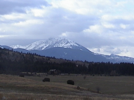 Emigrant Peak at 10,950 ft. above sea level