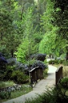 Footbridge near the Redwood forest CA.