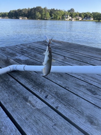 Sunset Fishing 