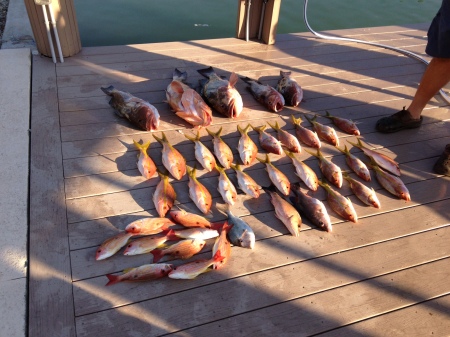 Marco Island Fishing, Nice