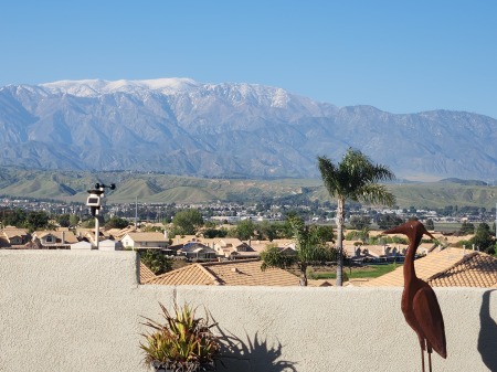 SoCal Spring