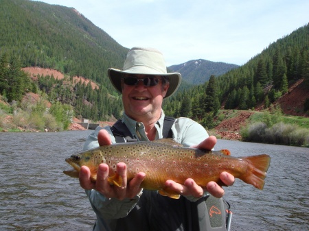 Rainbow Trout on Frying Pan River, CO