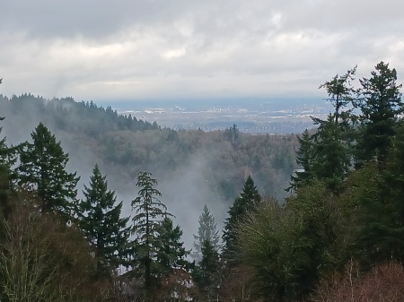 View from Mt Calvary, Portland, OR