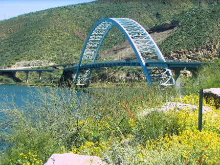 Roosevelt Lake Area