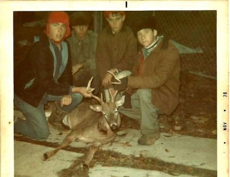 1970 Deer Photo