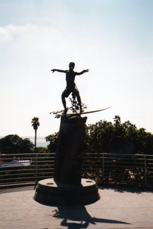 Cardiff Surfer