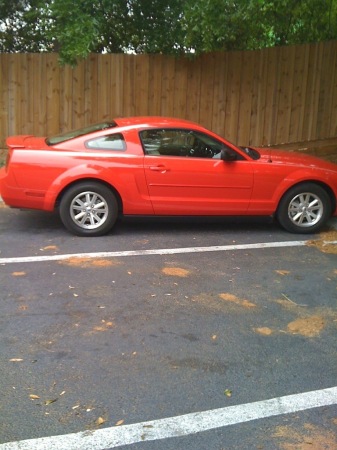 MY 08 MUSTANG