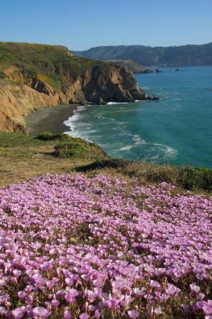 Pacific Coast Highway-California