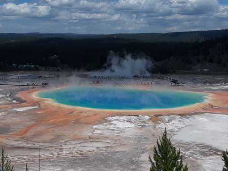 The Great Prismatice Pond at Yellowstone 2019
