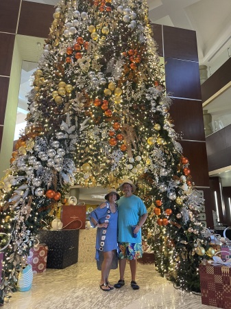 Tunnel Tree in lobby.  On our way to pool.