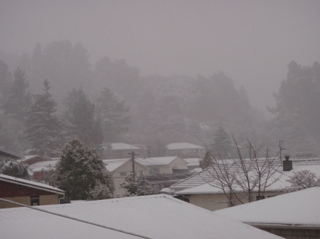 The first and only day we had snow in 25 years