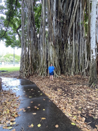 Banyan Tree in Hawaii, My girl friend Dorothy 