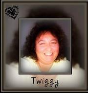 Twiggy  McNeil's Classmates® Profile Photo