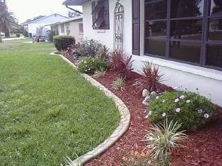 Front plants front of home.