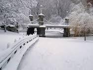 A favorite skating spot in Public Garden