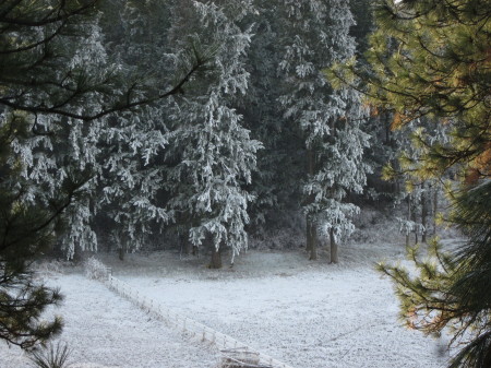 South Fields in Winter