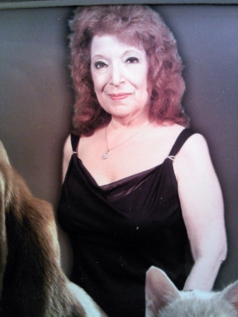 Linda Berkowitz's Classmates® Profile Photo