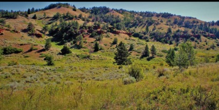 Foothills of the Pryor Mountains, Montana 2022