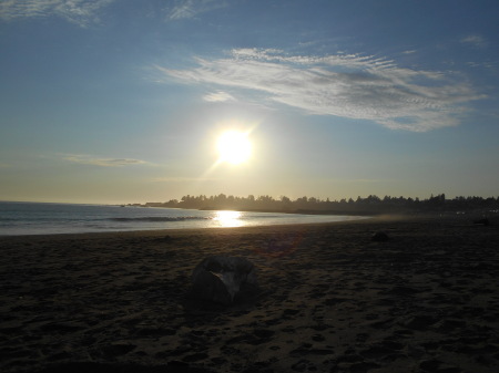 Christi Sheppard's album, Oregon coast 2013