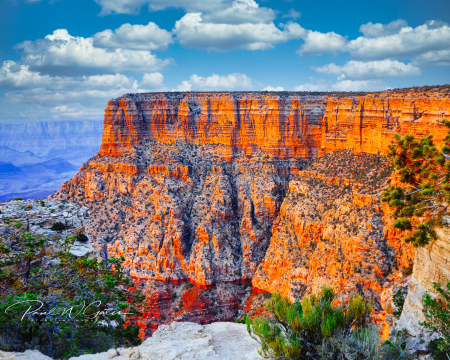 South Rim of the grand canyon