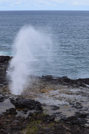 The Spouting Horn