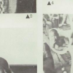 Robin Joiner's Classmates profile album
