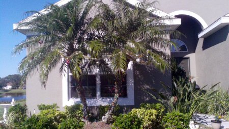 My house in Florida