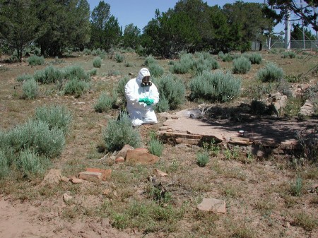 Cleaning up a pesticide site. 