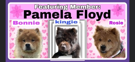 Pamela Floyd's Classmates profile album