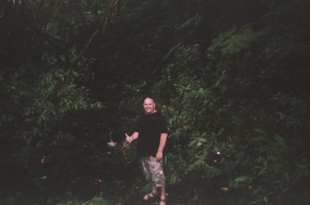 Stream in the jungles of Hilo, HI.