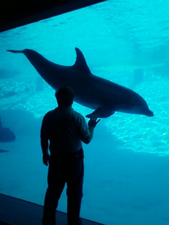 Texas State Aquarium, around 2011