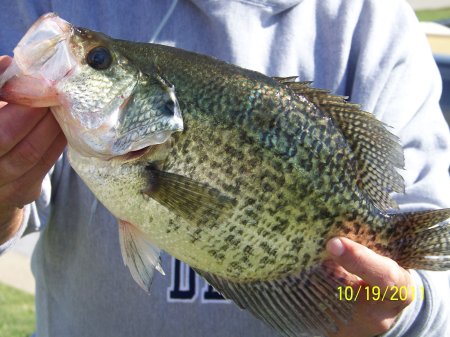 Jim Smallwood's album, Idaho trip 2007