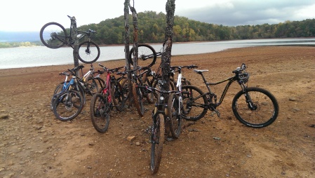 This is what $60,000 in bicycles looks like..