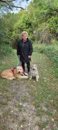 My Wife Marion with her Golden Doodle 