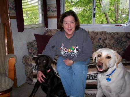 Abby (choc.mlab), Winston (yellow lab.) and I