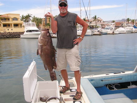 30 lb Grouper