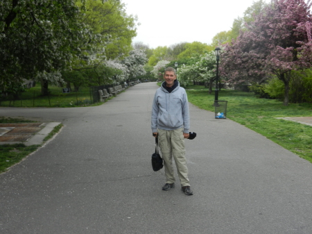 Cherry Walk in Riverside Park