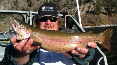 Cutthroat trout June Lake