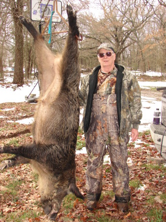 Huge feral hog killed in Feb 2010