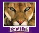 Escalon High School Class of 1981 40th Reunion reunion event on Oct 23, 2021 image