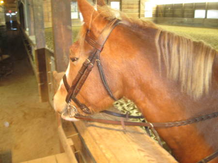 Wyatt Hanging at indoor arena