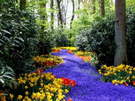 the flowers trickle through the woods