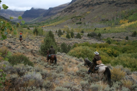 Verle Steele's album, Riden' The Steens