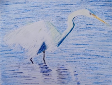 Egret at Lagoon