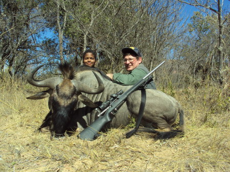 Wildebees/Gnu, Limpopo Province, RSA