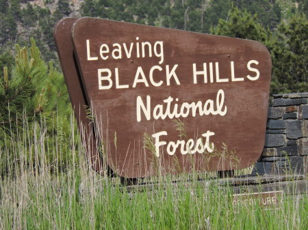 Black Hills National Forest South Dakota