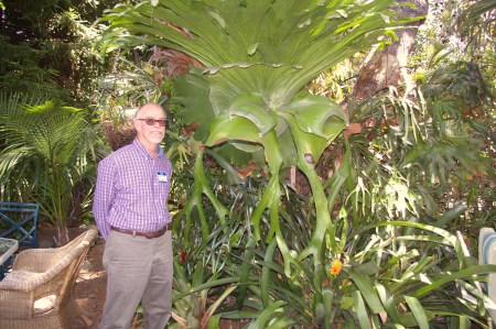 Jon Olin & Staghorn Fern