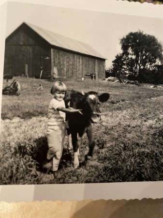 Mary Ann DeRestie's Classmates profile album