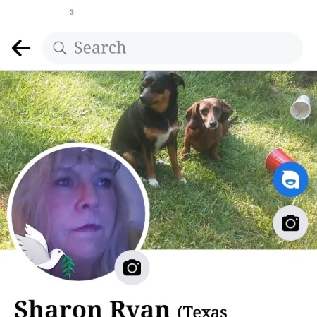 Sharon Ryan RYAN's Classmates® Profile Photo