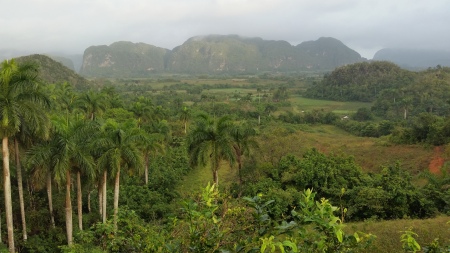 The Vinales countryside is very lush